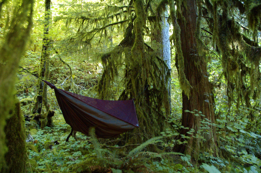 why to switch from tent camping to hammock camping